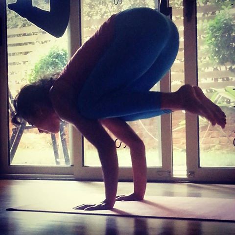 1481223_10151764066661714_417407481_n