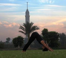 1452411_10151756380441714_654950224_n